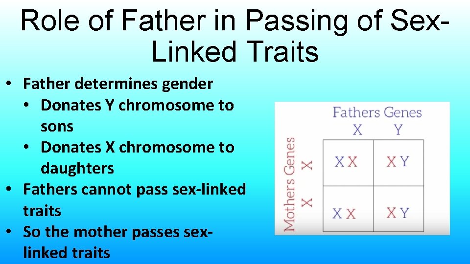 Role of Father in Passing of Sex. Linked Traits • Father determines gender •