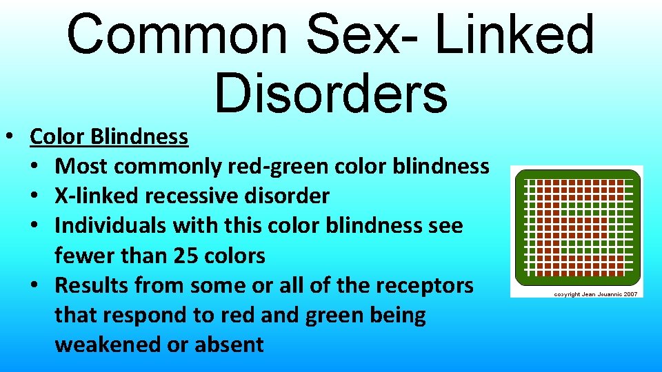 Common Sex- Linked Disorders • Color Blindness • Most commonly red-green color blindness •