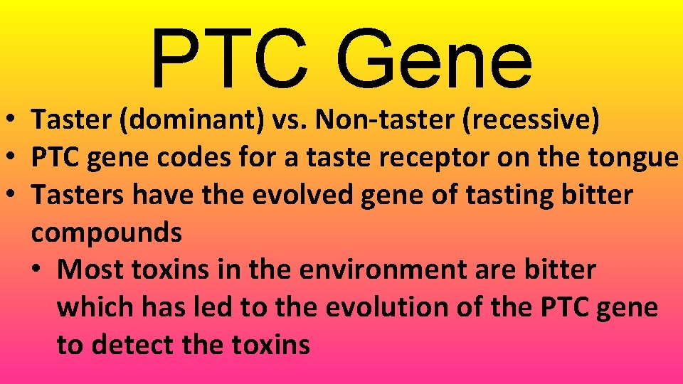 PTC Gene • Taster (dominant) vs. Non-taster (recessive) • PTC gene codes for a