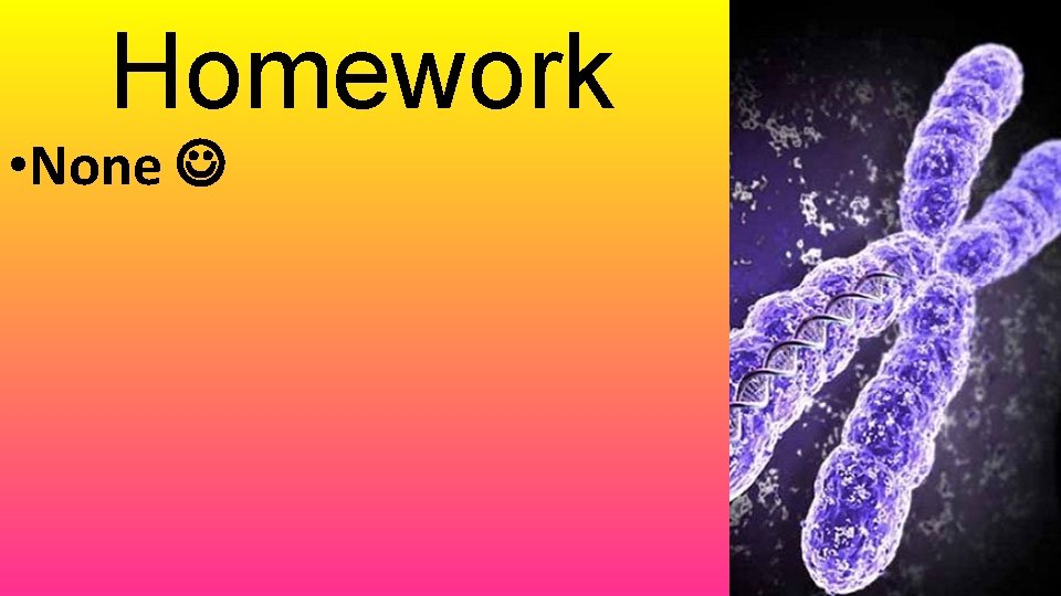 Homework • None 