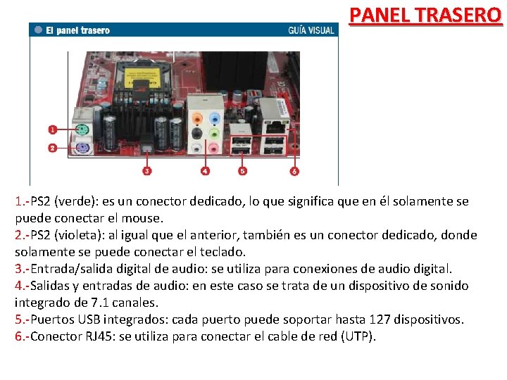 PANEL TRASERO 1. -PS 2 (verde): es un conector dedicado, lo que significa que