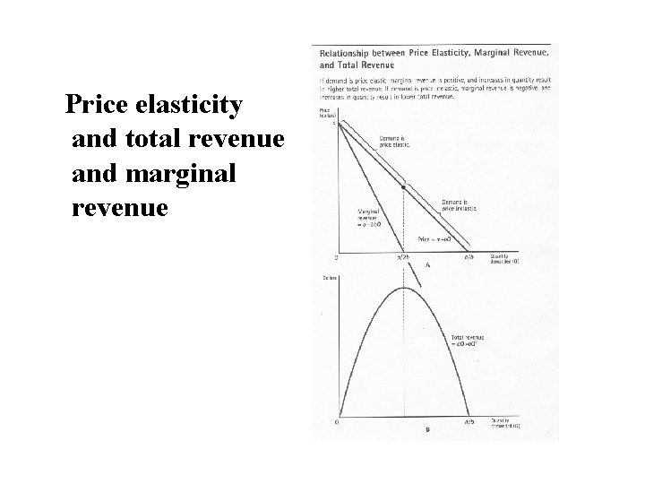 Price elasticity and total revenue and marginal revenue 