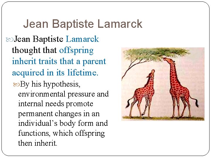 Jean Baptiste Lamarck thought that offspring inherit traits that a parent acquired in its