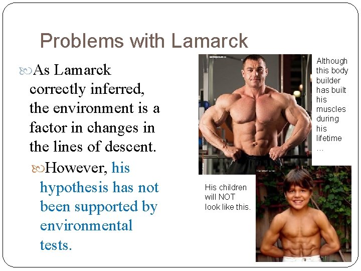 Problems with Lamarck Although this body builder has built his muscles during his lifetime