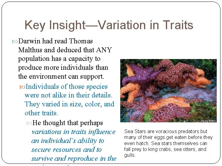 Key Insight—Variation in Traits Darwin had read Thomas Malthus and deduced that ANY population