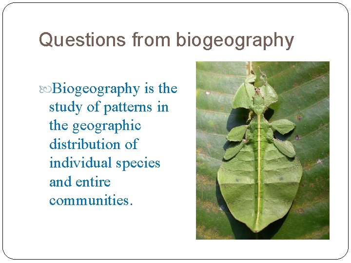 Questions from biogeography Biogeography is the study of patterns in the geographic distribution of