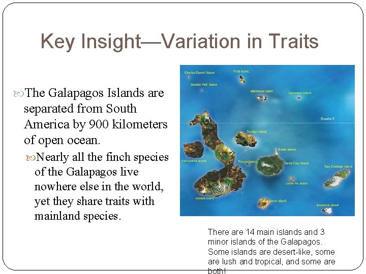 Key Insight—Variation in Traits The Galapagos Islands are separated from South America by 900