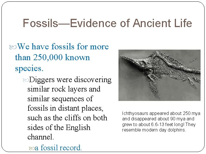 Fossils—Evidence of Ancient Life We have fossils for more than 250, 000 known species.