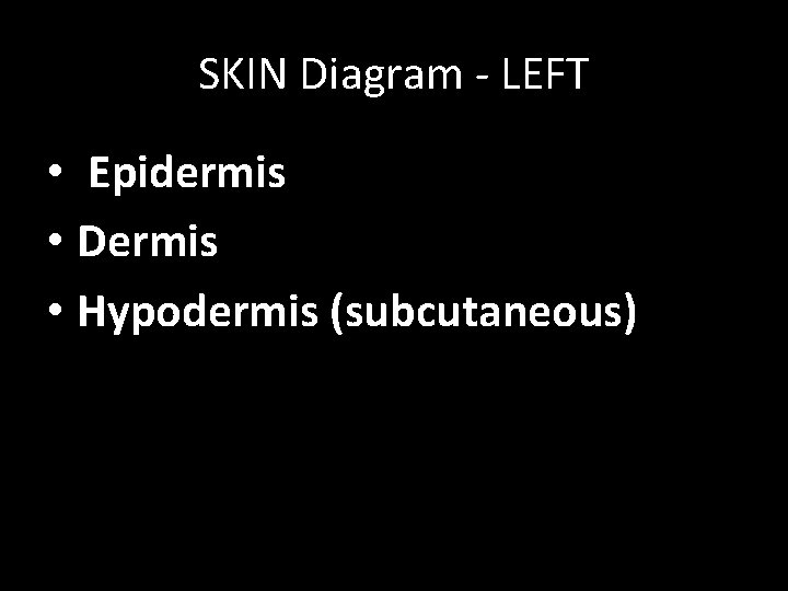 SKIN Diagram - LEFT • Epidermis • Dermis • Hypodermis (subcutaneous) 