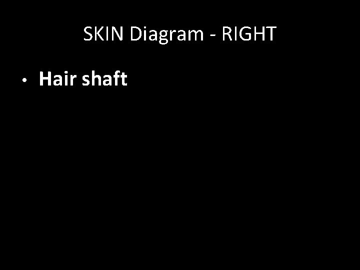 SKIN Diagram - RIGHT • Hair shaft 