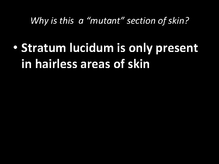 Why is this a “mutant” section of skin? • Stratum lucidum is only present