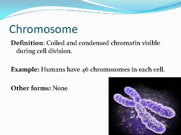 Chromosome Definition: Coiled and condensed chromatin visible during cell division. Example: Humans have 46