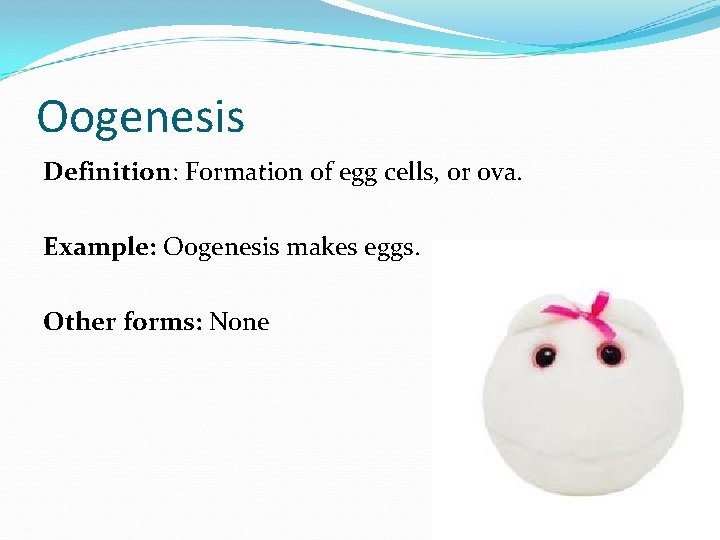 Oogenesis Definition: Formation of egg cells, or ova. Example: Oogenesis makes eggs. Other forms: