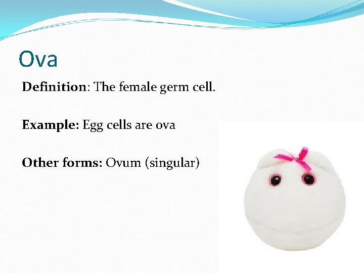 Ova Definition: The female germ cell. Example: Egg cells are ova Other forms: Ovum