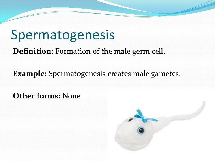Spermatogenesis Definition: Formation of the male germ cell. Example: Spermatogenesis creates male gametes. Other