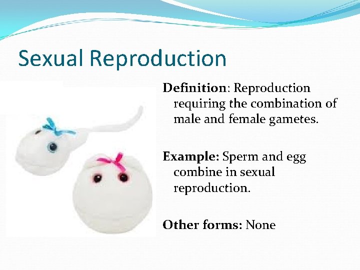 Sexual Reproduction Definition: Reproduction requiring the combination of male and female gametes. Example: Sperm