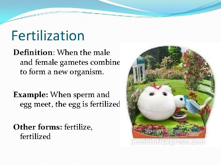 Fertilization Definition: When the male and female gametes combine to form a new organism.