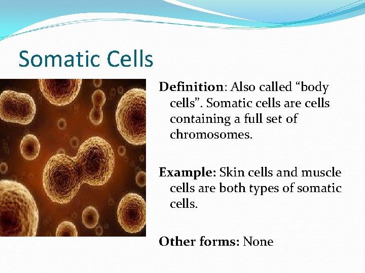 Somatic Cells Definition: Also called “body cells”. Somatic cells are cells containing a full