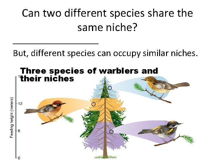 Biome Adaptations Niches Figures 4 1 and 4