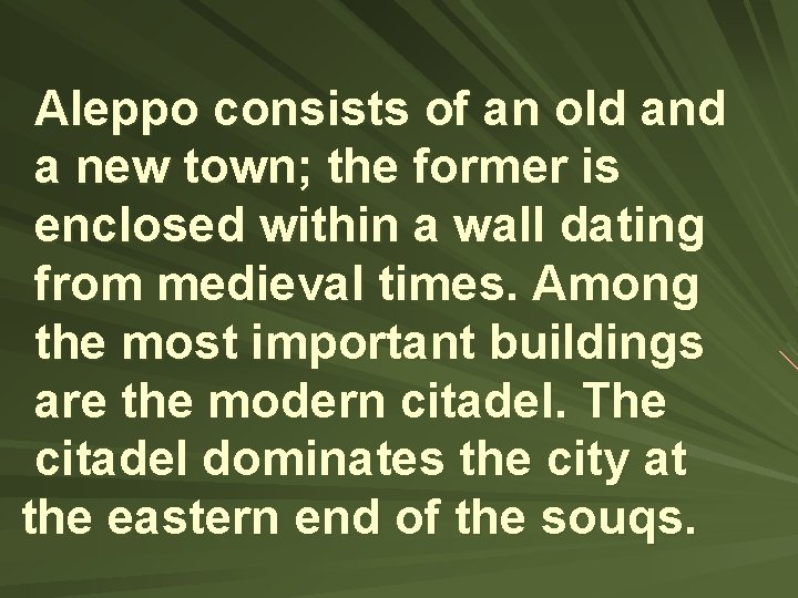 Aleppo consists of an old and a new town; the former is enclosed within