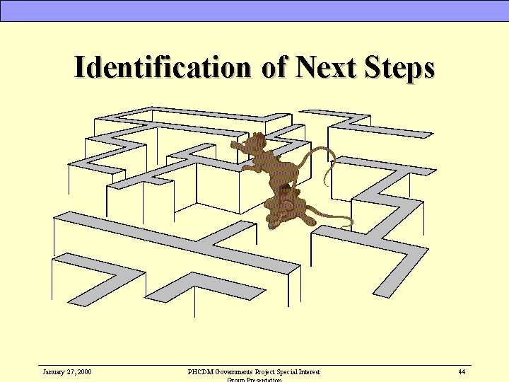 Identification of Next Steps January 27, 2000 PHCDM Governments Project Special Interest 44 