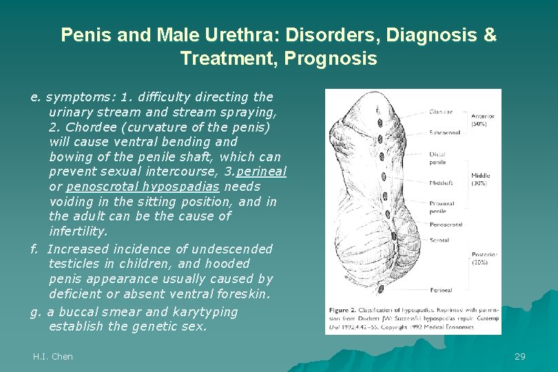 Penis and Male Urethra: Disorders, Diagnosis & Treatment, Prognosis e. symptoms: 1. difficulty directing
