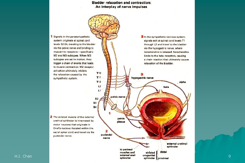 H. I. Chen 9 