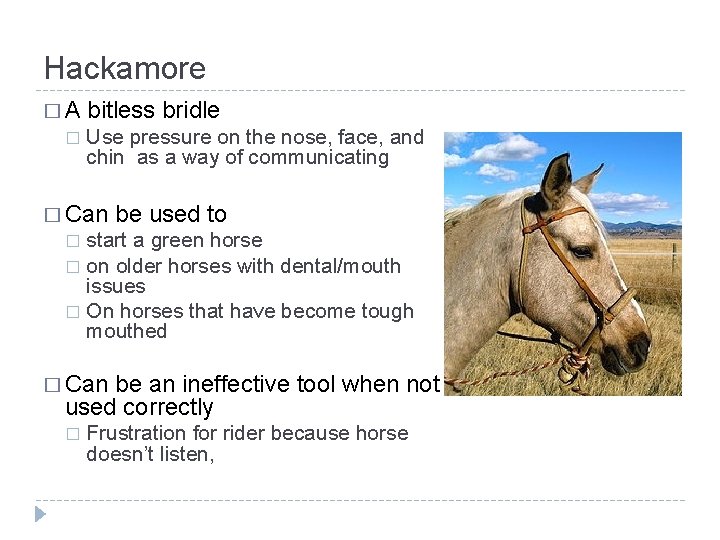 Hackamore �A � bitless bridle Use pressure on the nose, face, and chin as