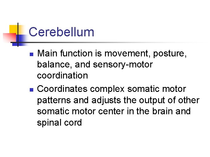 Cerebellum n n Main function is movement, posture, balance, and sensory-motor coordination Coordinates complex