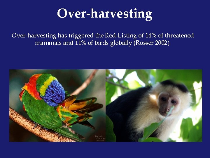 Over-harvesting has triggered the Red-Listing of 14% of threatened mammals and 11% of birds