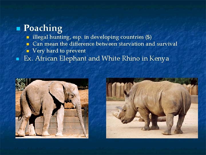 n Poaching n n illegal hunting, esp. in developing countries ($) Can mean the