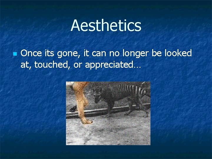 Aesthetics n Once its gone, it can no longer be looked at, touched, or