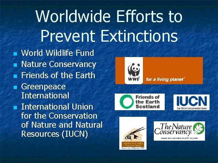 Worldwide Efforts to Prevent Extinctions n n n World Wildlife Fund Nature Conservancy Friends