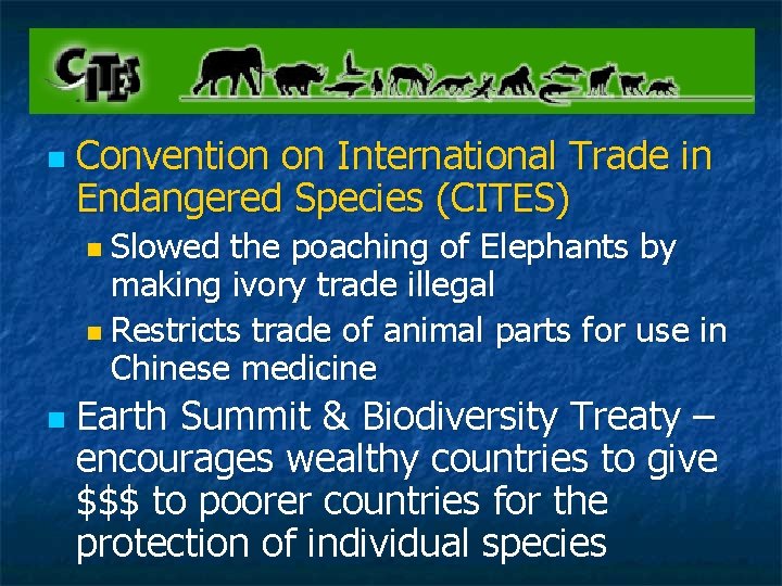 n Convention on International Trade in Endangered Species (CITES) n Slowed the poaching of