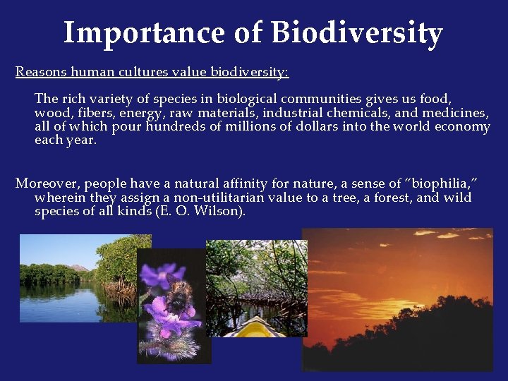 Importance of Biodiversity Reasons human cultures value biodiversity: The rich variety of species in