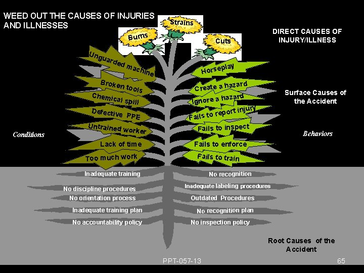 WEED OUT THE CAUSES OF INJURIES AND ILLNESSES Strains Burns DIRECT CAUSES OF INJURY/ILLNESS