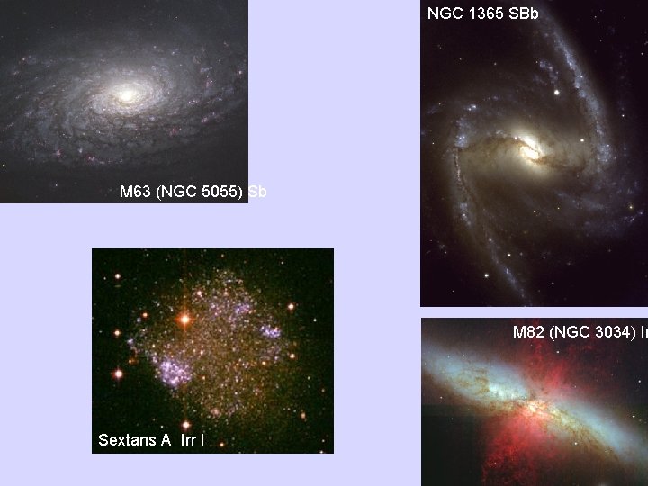 NGC 1365 SBb M 63 (NGC 5055) Sb M 82 (NGC 3034) Ir Sextans