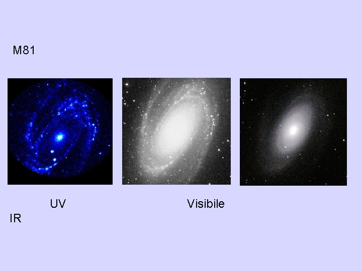 M 81 UV IR Visibile 