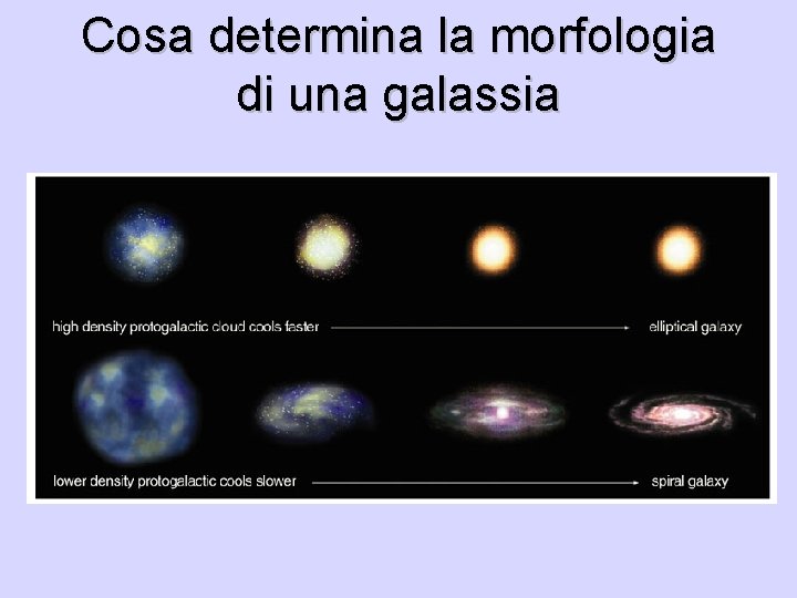 Cosa determina la morfologia di una galassia 