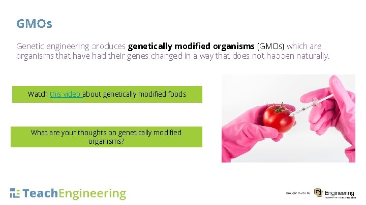 GMOs Genetic engineering produces genetically modified organisms (GMOs) which are organisms that have had