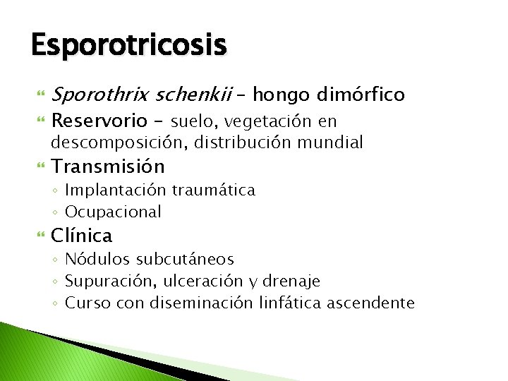 Esporotricosis Sporothrix schenkii – hongo dimórfico Reservorio – suelo, vegetación en Transmisión descomposición, distribución