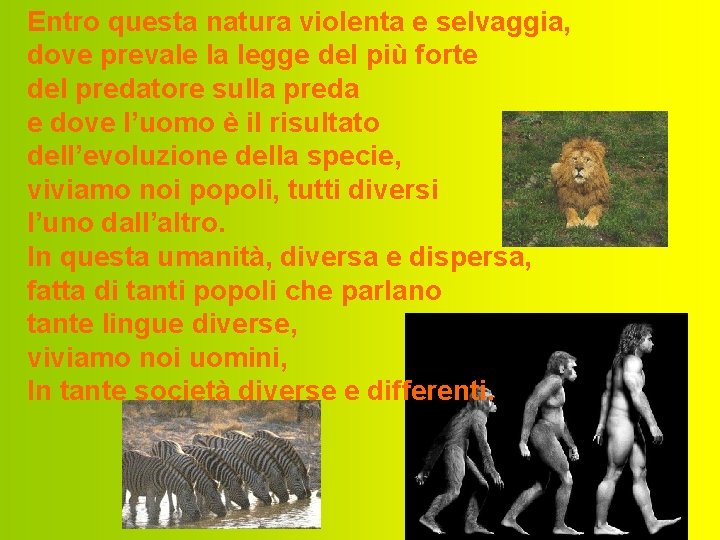 Entro questa natura violenta e selvaggia, dove prevale la legge del più forte del