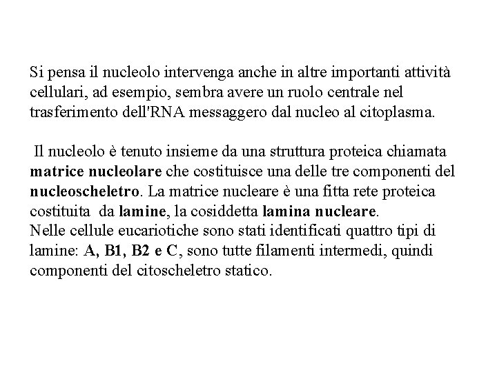 Si pensa il nucleolo intervenga anche in altre importanti attività cellulari, ad esempio, sembra