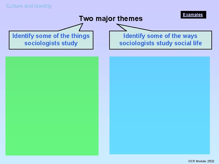 Culture and Identity Two major themes Identify some of the things sociologists study Examples