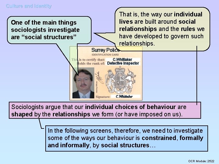 Culture and Identity One of the main things sociologists investigate are “social structures” That