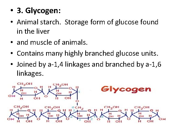  • 3. Glycogen: • Animal starch. Storage form of glucose found in the