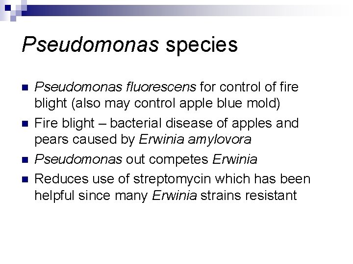 Pseudomonas species n n Pseudomonas fluorescens for control of fire blight (also may control