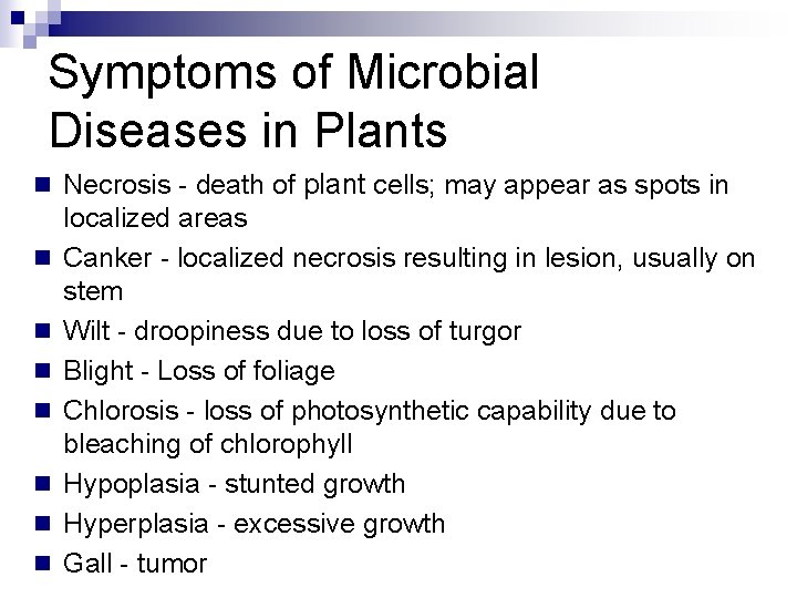 Symptoms of Microbial Diseases in Plants n Necrosis - death of plant cells; may