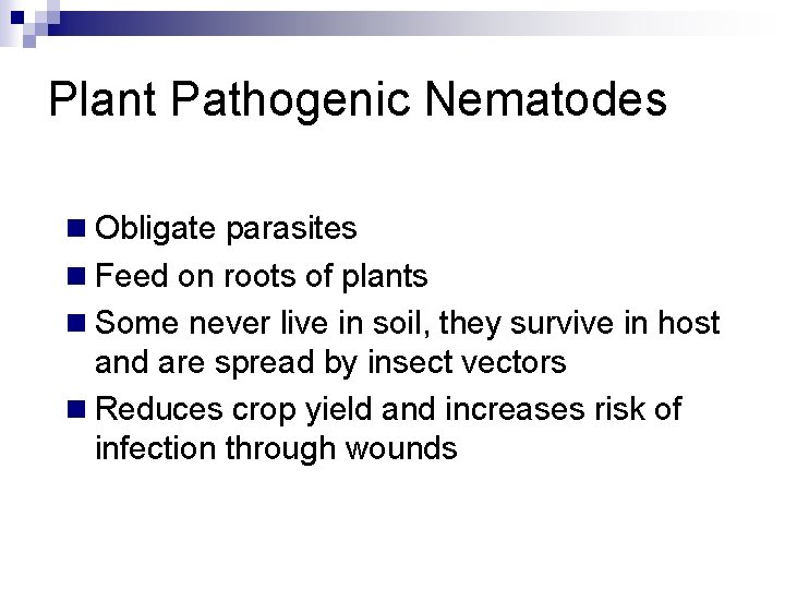Plant Pathogenic Nematodes n Obligate parasites n Feed on roots of plants n Some