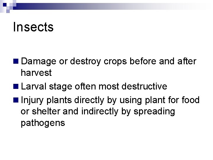 Insects n Damage or destroy crops before and after harvest n Larval stage often